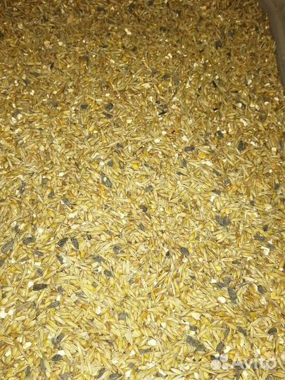 Зерносмесь