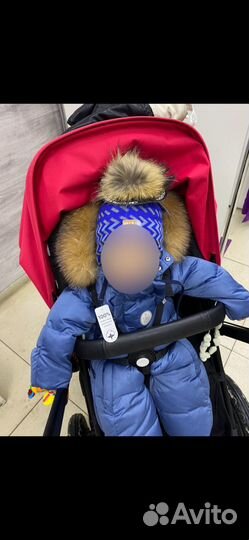 Шапка для мальчика nels 46