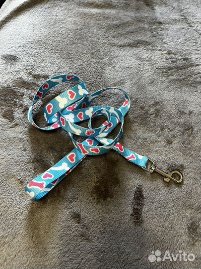 Намордник для собак, поводок, жилет