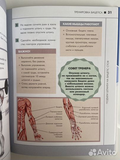 Книга анатомия силовых упражнений