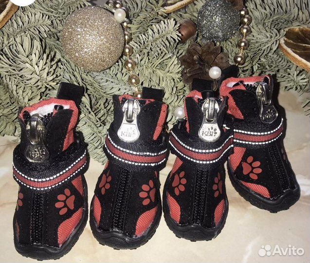 Шлейки, поводки, обувь, куртки, ступеньки