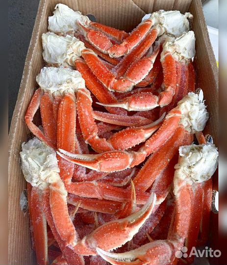 Конечности краба стригуна