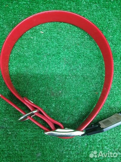 Ошейник 2,5см/50см