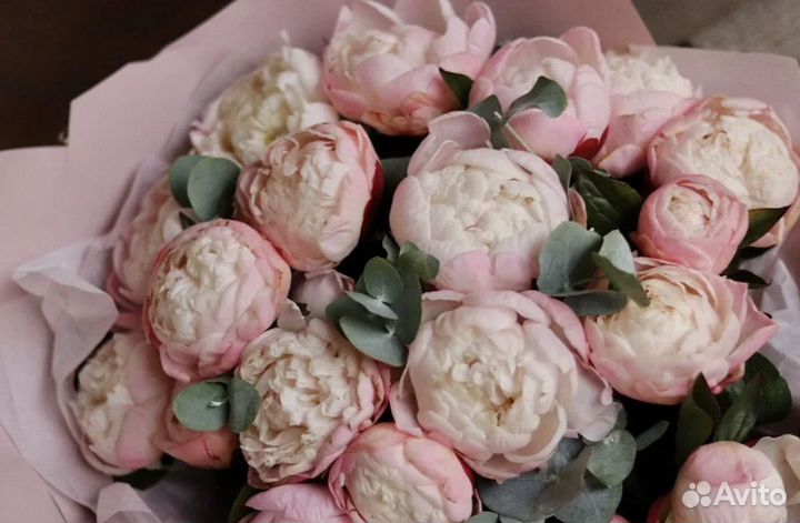 Пионы букеты цветы с доставкой растения