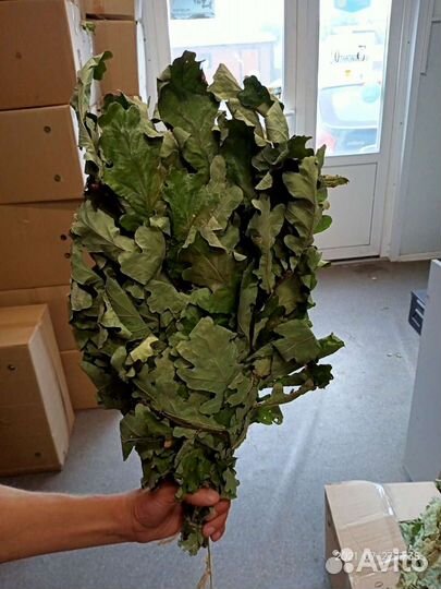 Веники дубовые для бани