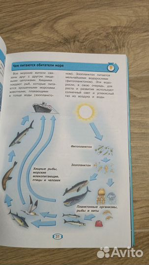 Отчего и почему занимательная энциклопедия