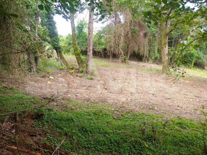 Участок 100 сот. (ИЖС)