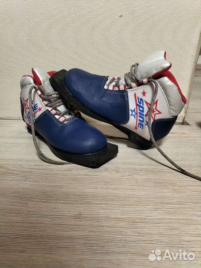 Лыжные ботинки spine