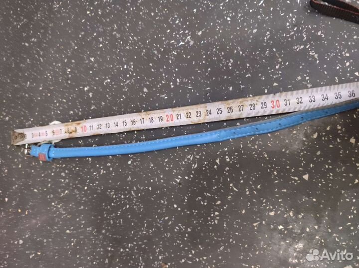 Поводок рулетка и ошейник для собаки мелких пород