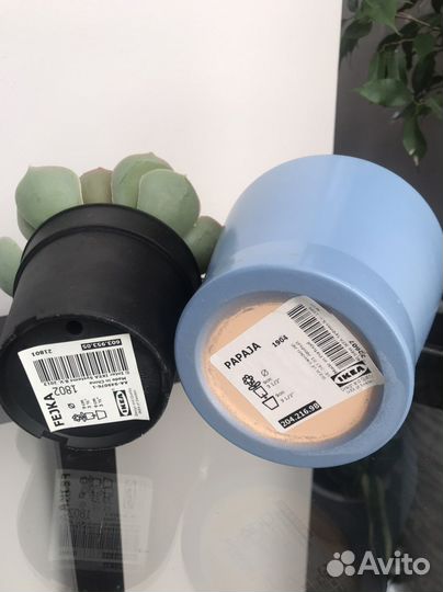 Фейка икеа Искусственное растение суккулент