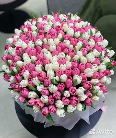Тюльпаны с Доставкой, Букет 51 Тюльпан