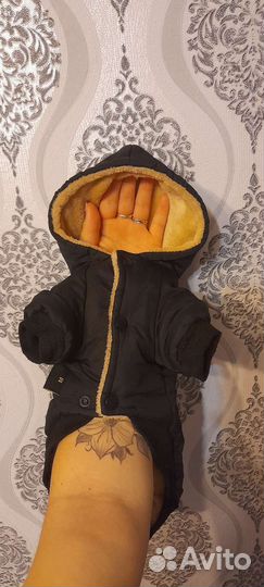 Курточка для собачки небольшого размера