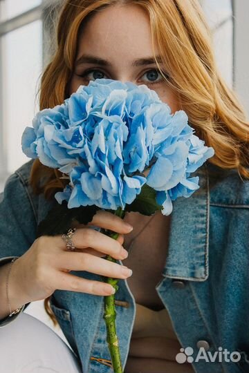 Фотосессия под ключ Чебоксары