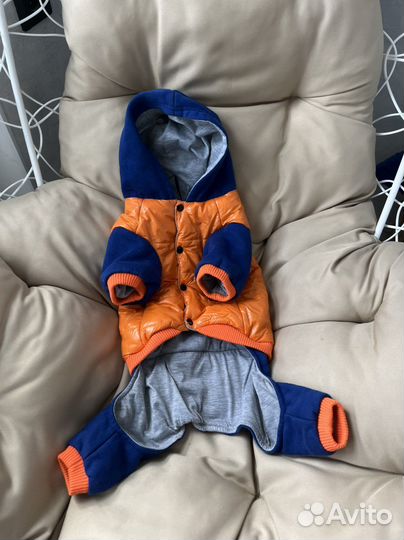 Одежда для собаки