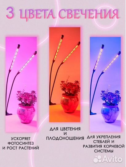 Фитолампа для растений