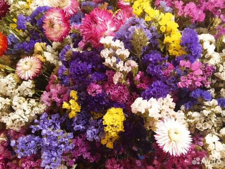 Собираю Букет из сухоцветов на первое сентября