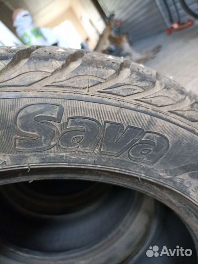 Sava Eskimo Stud 205/55 R16