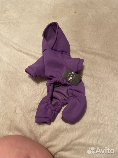 Костюм для собаки