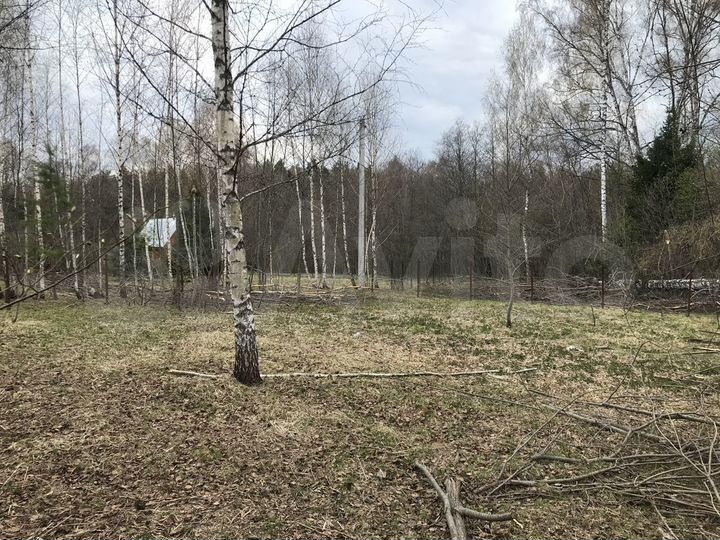 Участок 24 сот. (СНТ, ДНП)