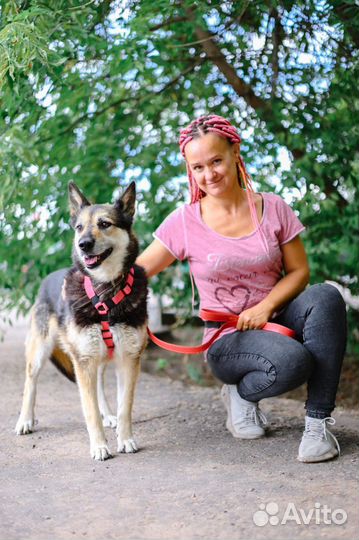 Подарите собаке шанс