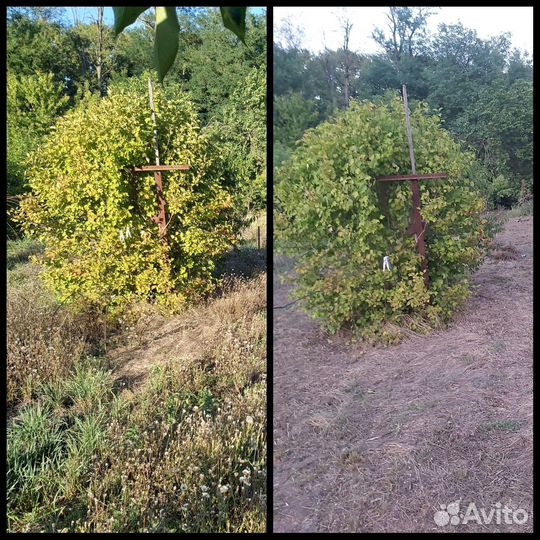 Покос травы