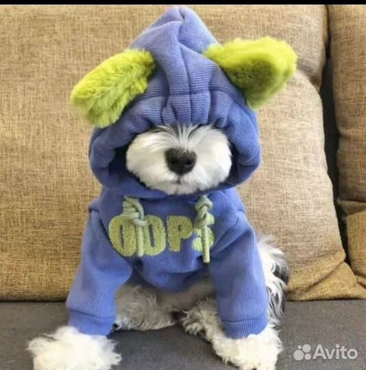 Толстовка для собак новая