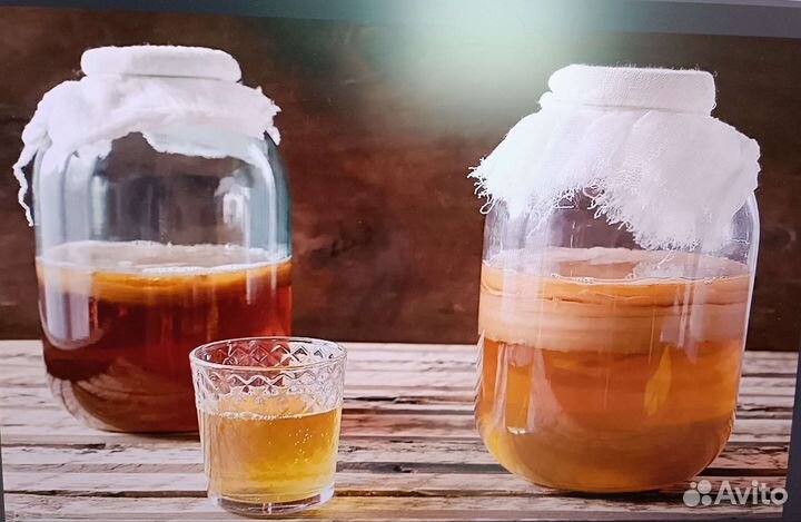 Чайный гриб, натуральный продукт, очень полезный