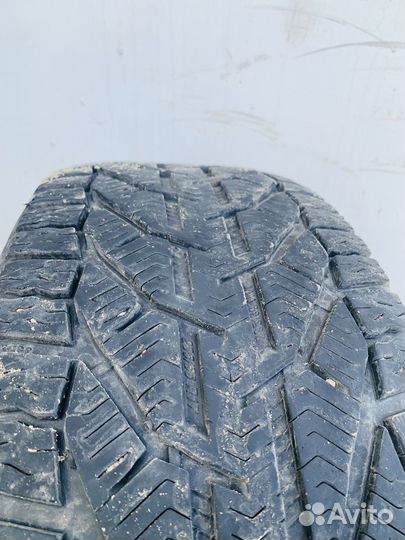 Tigar Winter 335/55 R17 103