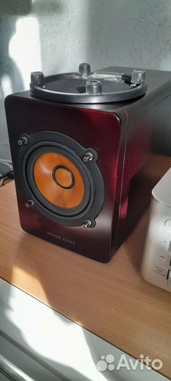 JVC Victor Woodcone EX-A3