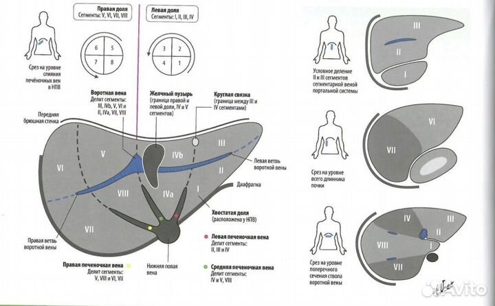 Учебная медицинская литература