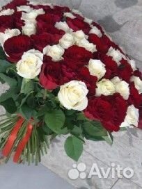 Букет из 51 розы Подольск