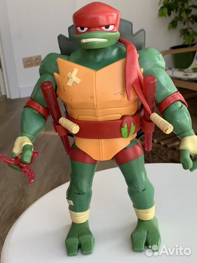 Черепашка-ниндзя