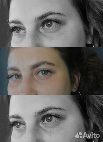 Мастер Бровист