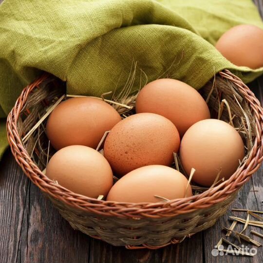 Яйцо куриное домашнее в ячейке