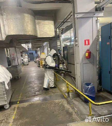 Устранение удаление запахов озонирование озонация