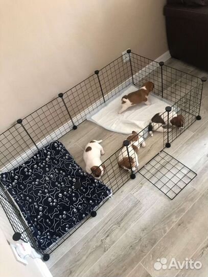 Клетка вольер для собак и кошек