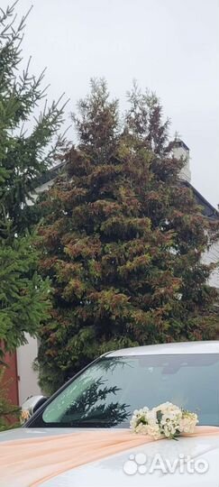 Свадебный декор на машину