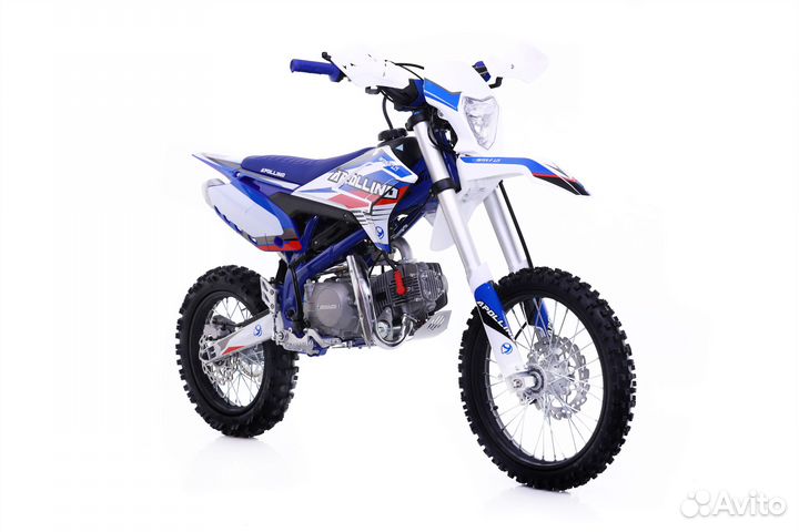 Новейший Супер Пит Apollino AMX-F 125 (до 75 кг.)