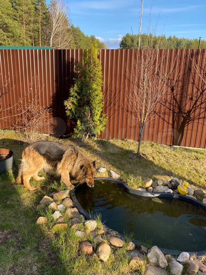 Дом 101,6 м² на участке 7,5 сот.