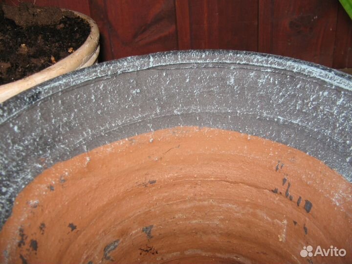 Глиняные оригинальные бонсайницы