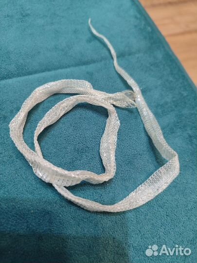 Змеиный выползок