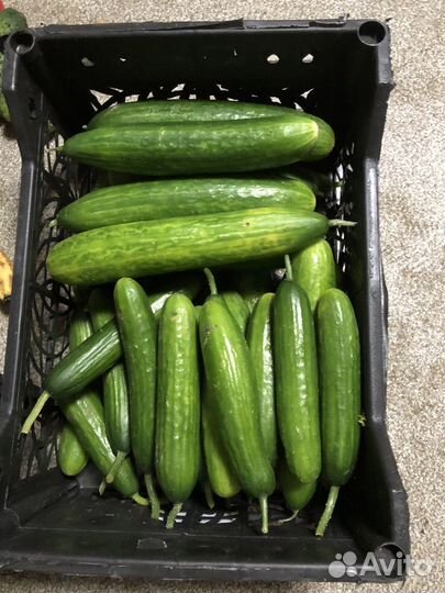 Продукты на корм для животных.)