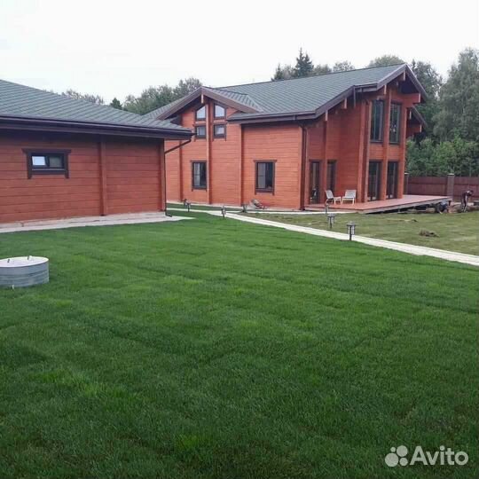 Рулонный газон, укладка, продажа