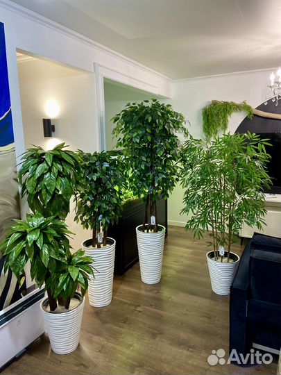 Искусственное дерево. Фитокартина для офиса