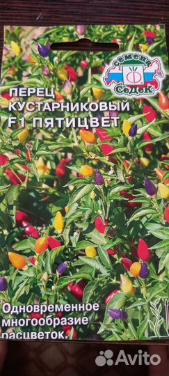 Рассада декоративных перцев