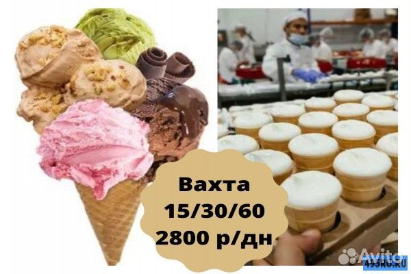 Упаковщики мороженого - вахта 15 смен