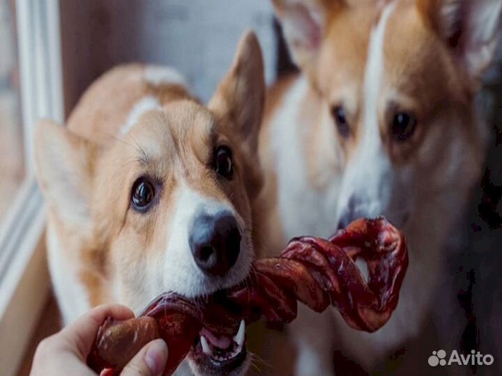 Корм для собаки. Натуральное