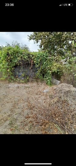 Участок 5,5 сот. (СНТ, ДНП)