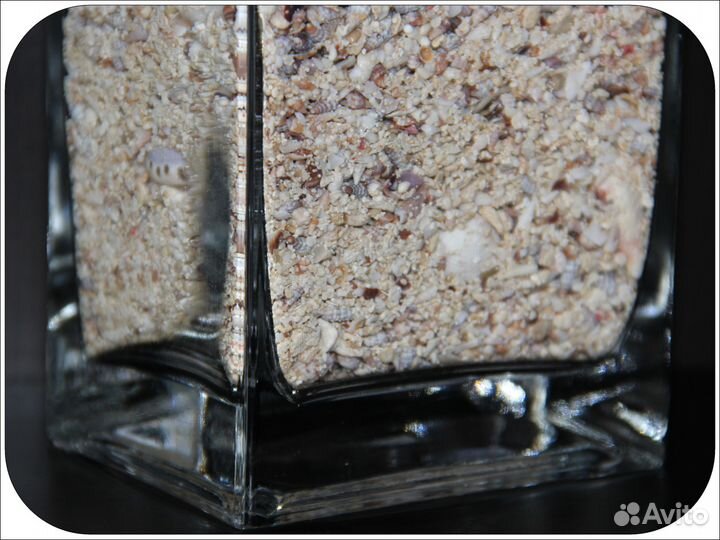 Декор / ракушки, кораллы, морские звезды / 1,7 л