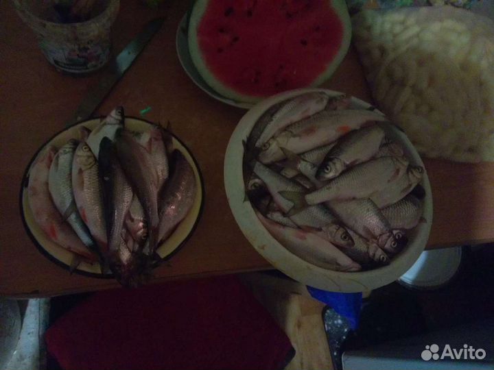 Елец, Голавль,Щука